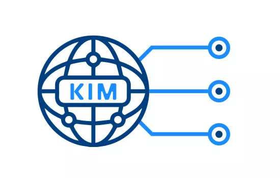 CGM KIM Sub-Domain